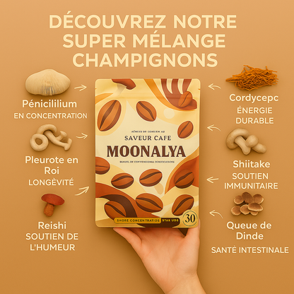 Mélange Champignons